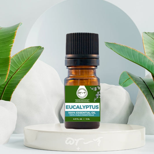 Eucalyptus Essential Oil 11ml I Bathala Scents - Bathala Scents and Natural Wellness